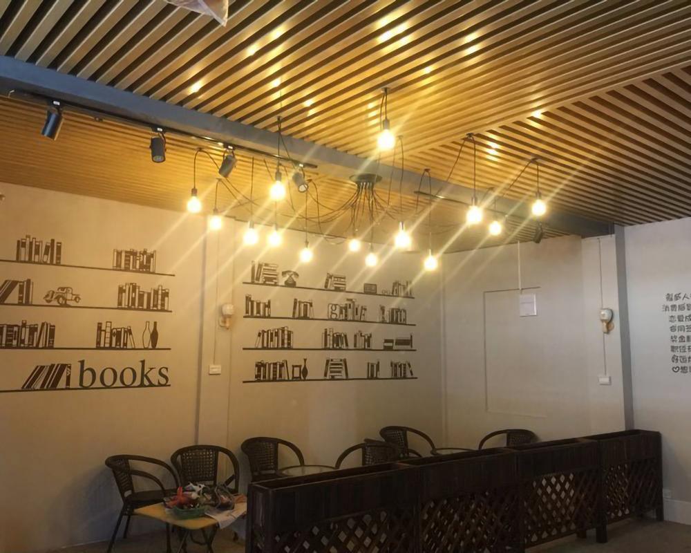 Spider Ceiling Chandelier - YIOSI