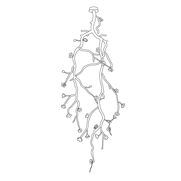 Large Long Branch Flower Chandelier - YIOSI
