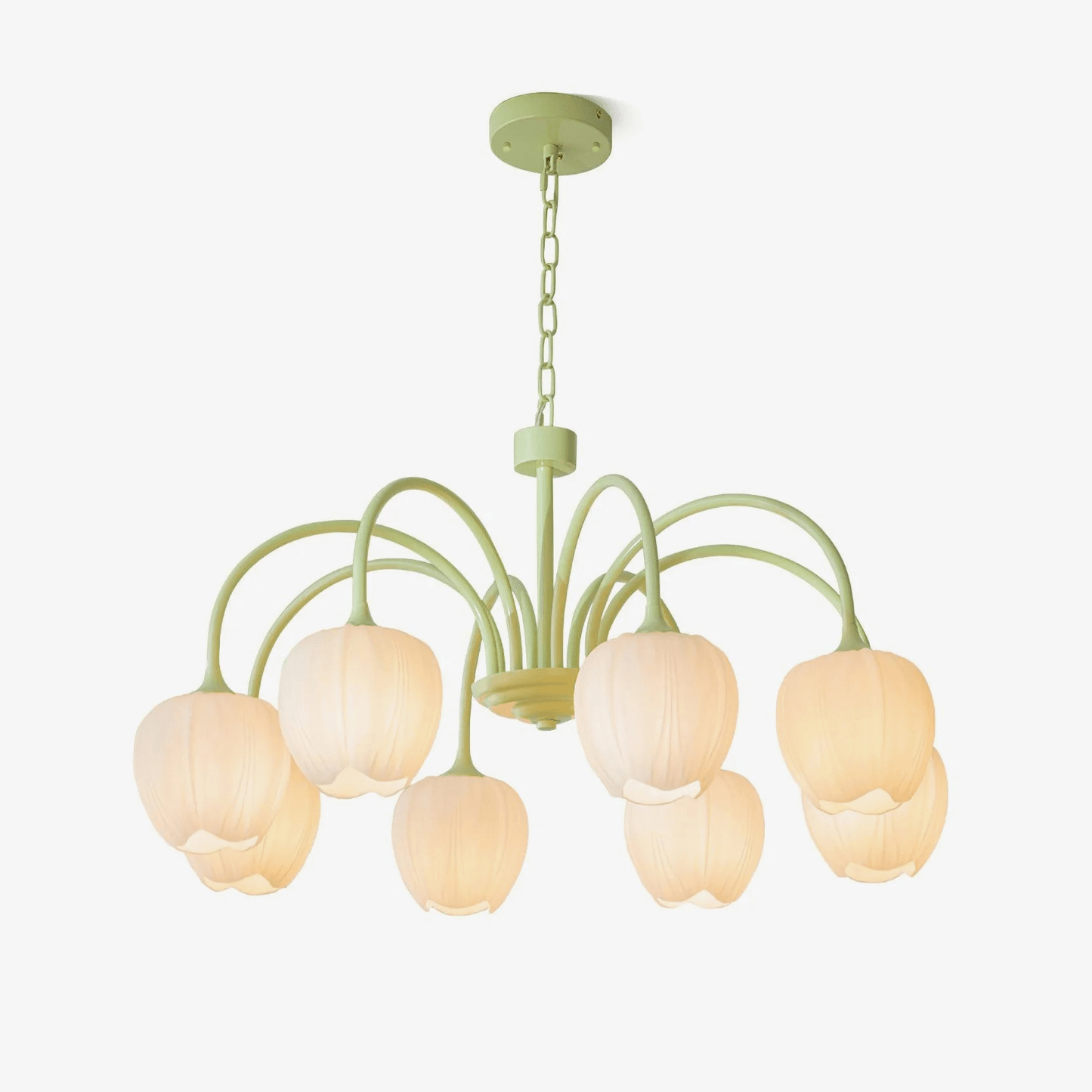 Tulip Matcha Chandelier - YIOSI