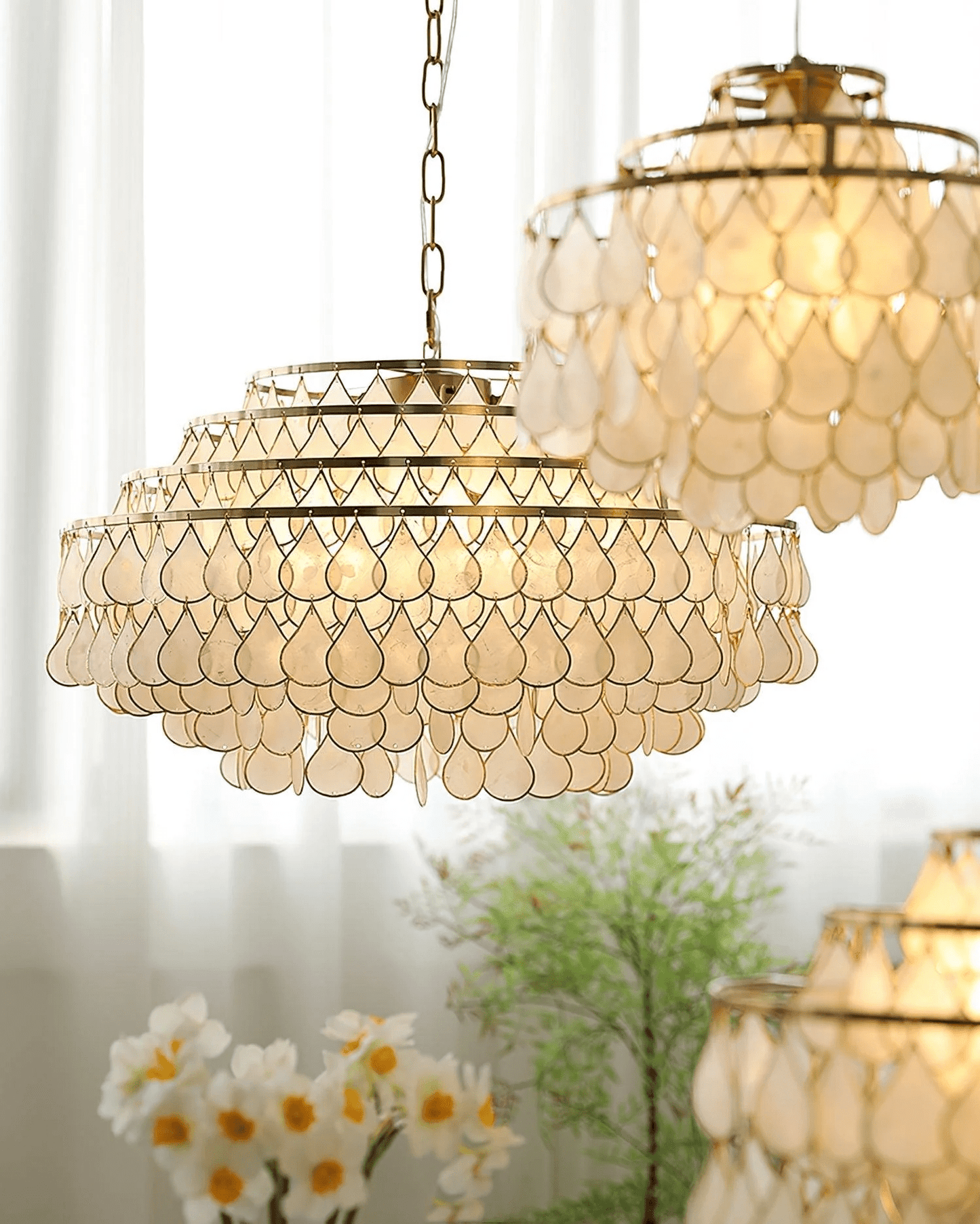 Teardrops Shell Chandelier - YIOSI