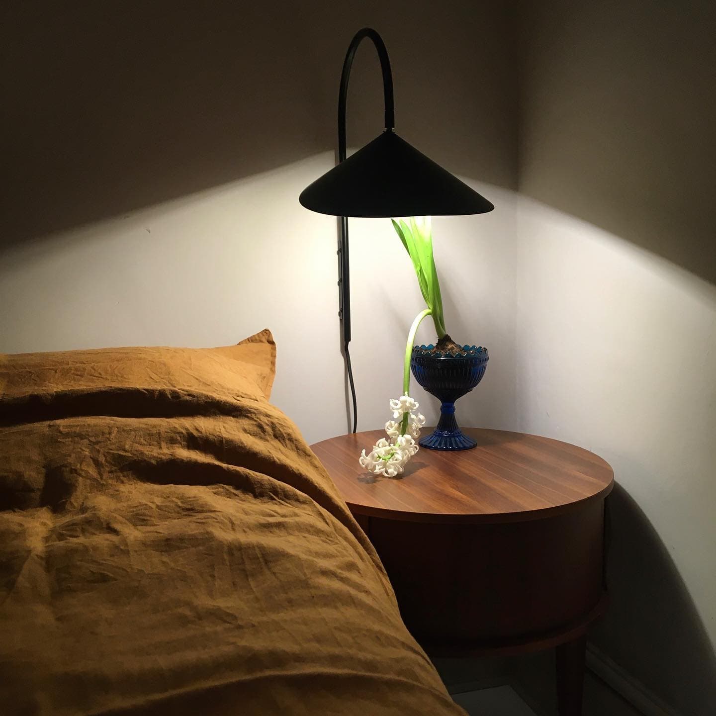 Alocasia Swivel Plug‑in Wall Lamp – Adjustable Modern Lighting