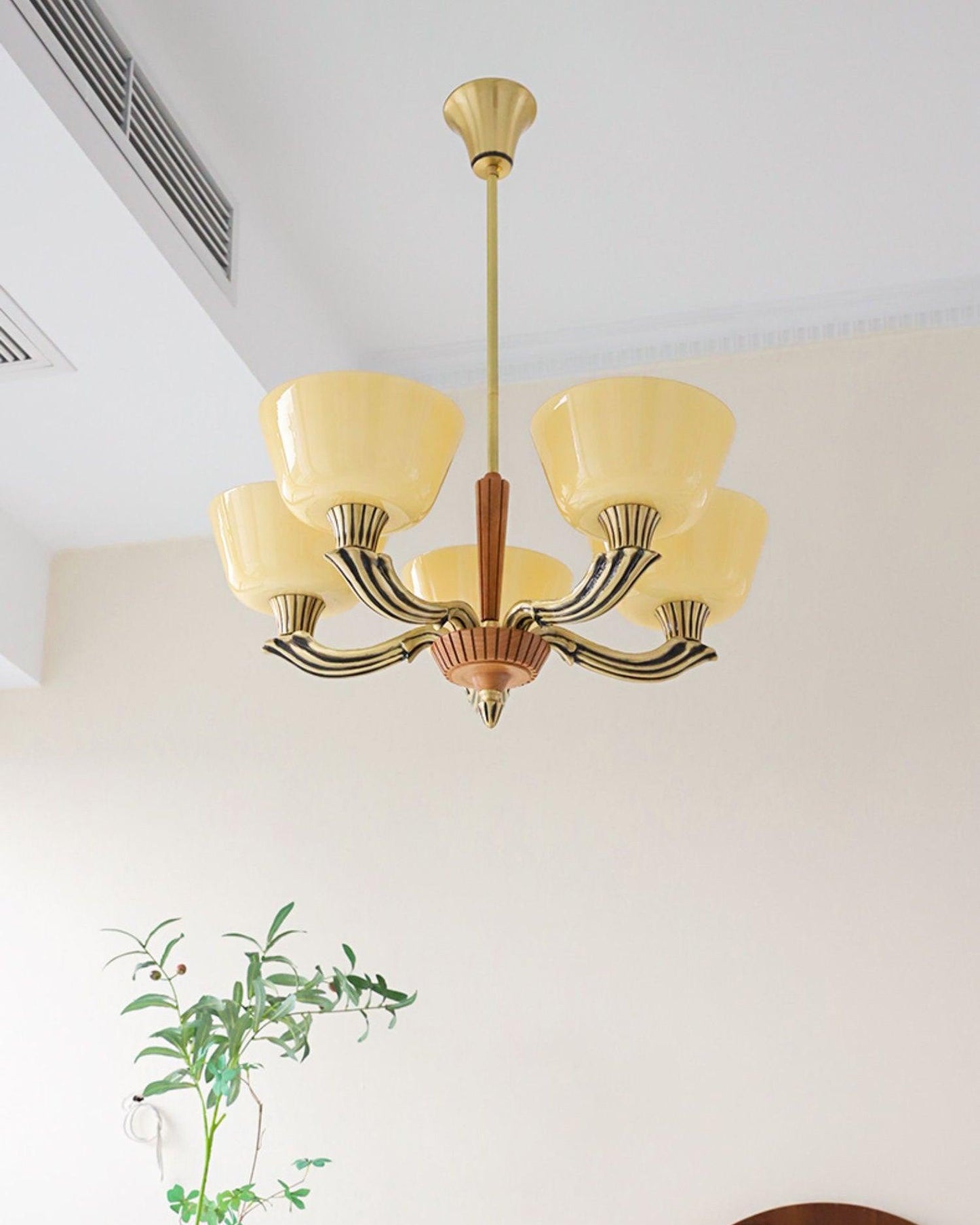 Ascher Chandelier - YIOSI