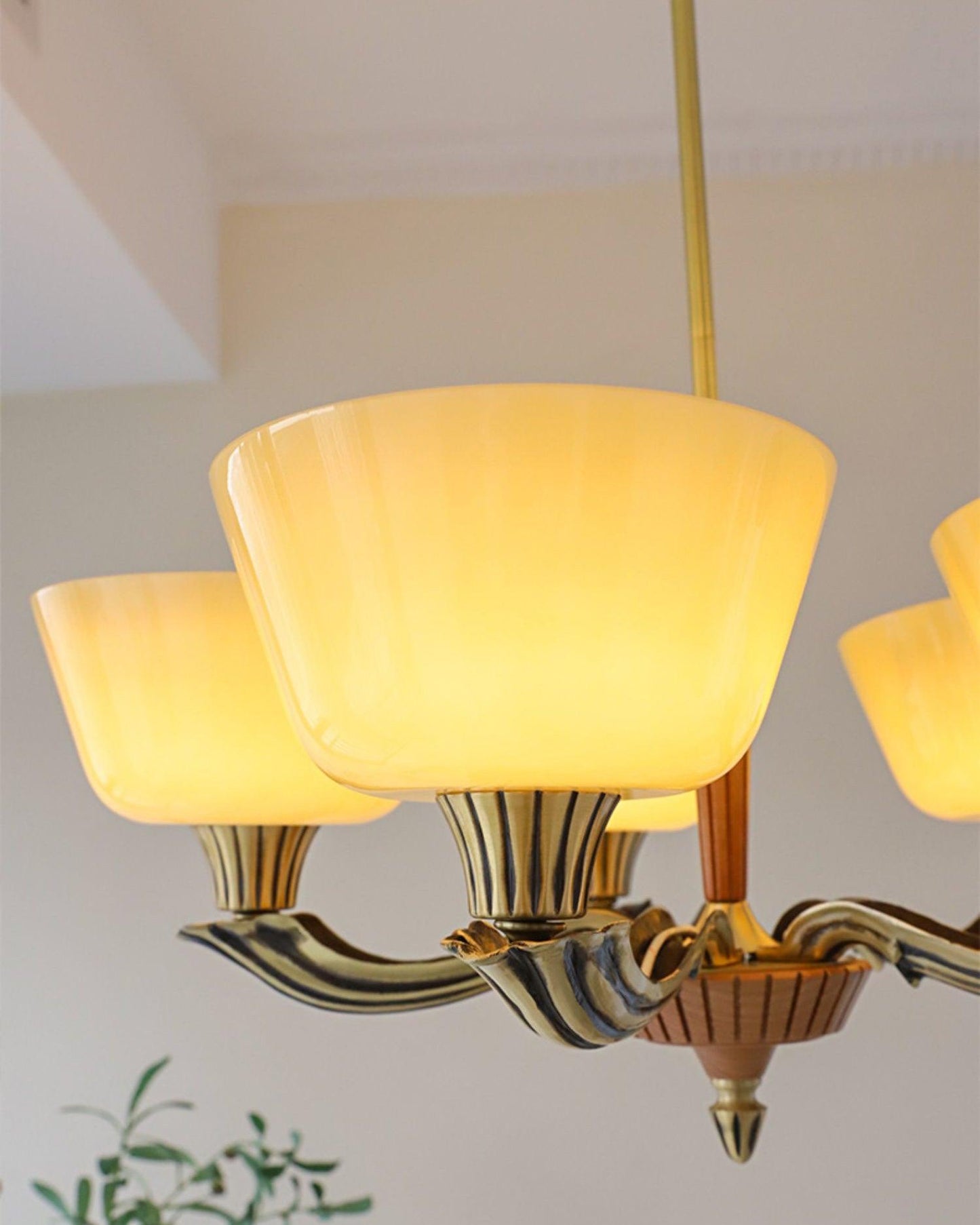 Ascher Chandelier - YIOSI