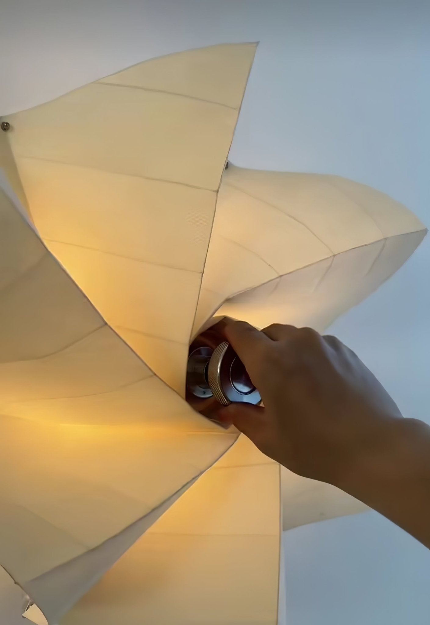 Bloom Petals Wall Lamp - YIOSI
