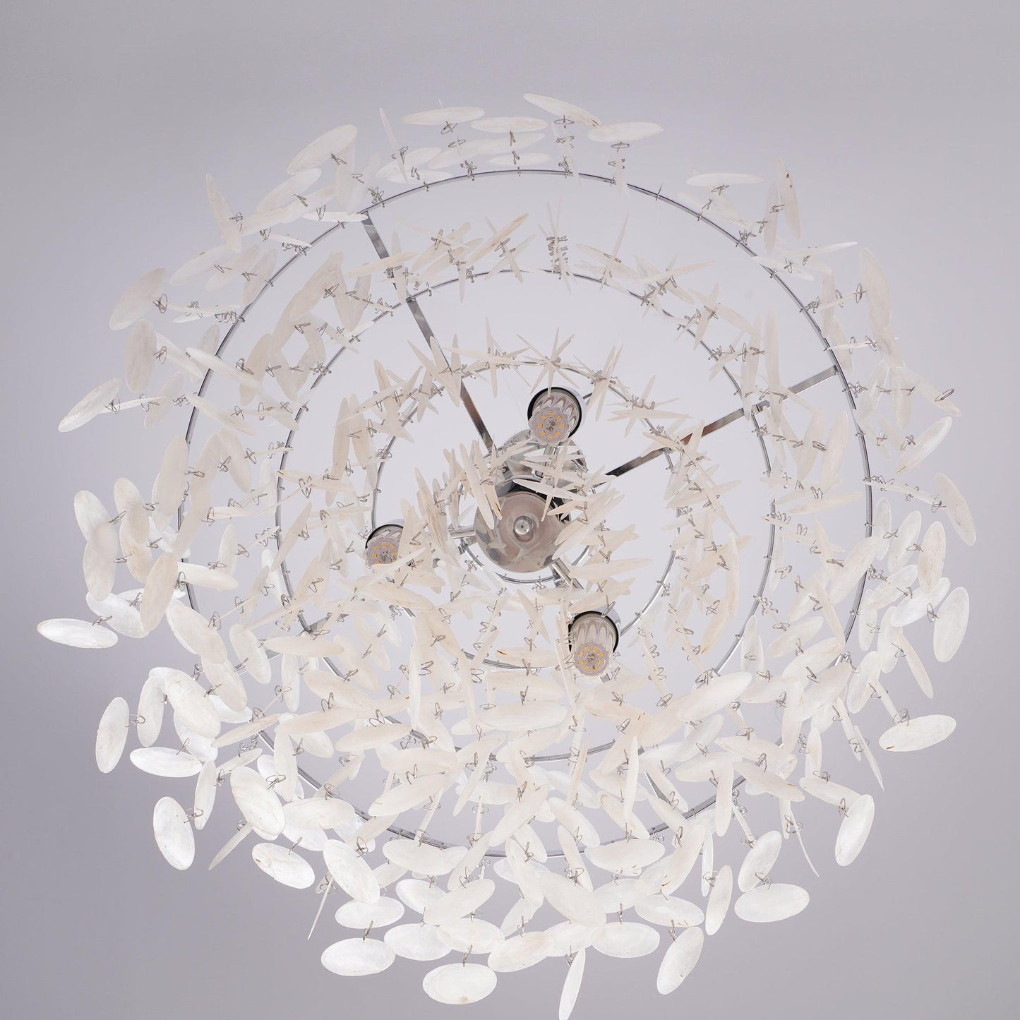Round Shell Chandelier - YIOSI