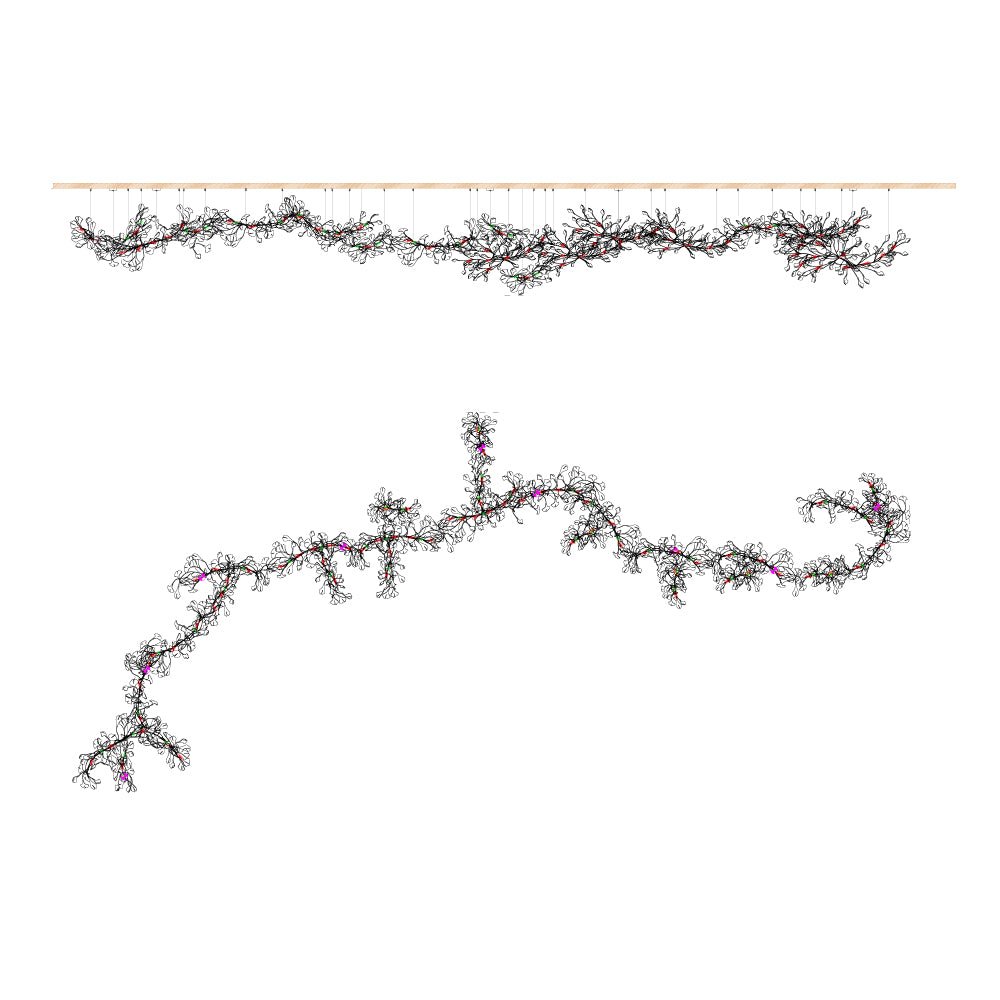 Gingko Chandelier E - YIOSI