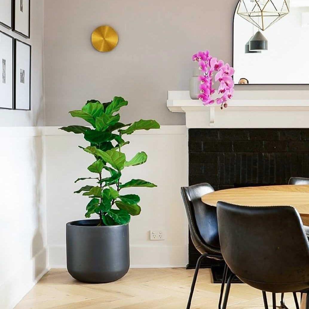 Gossa Wall Lamp Modern Brass Metal Halo Light