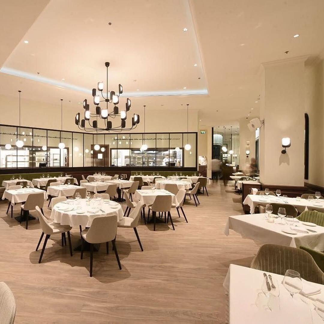 LEAF Chandelier - YIOSI