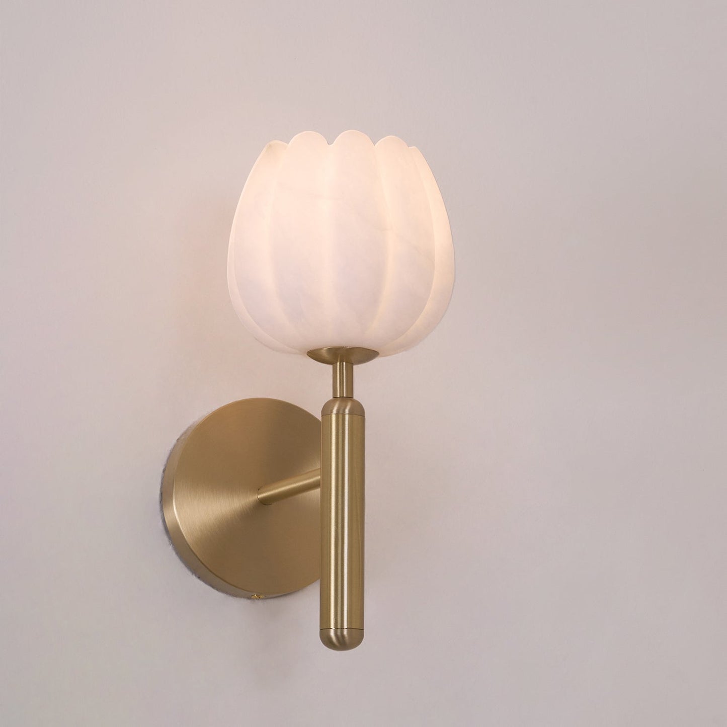 Elegant Brass & Alabaster Decorative Botanical Wall Lamp – Mian