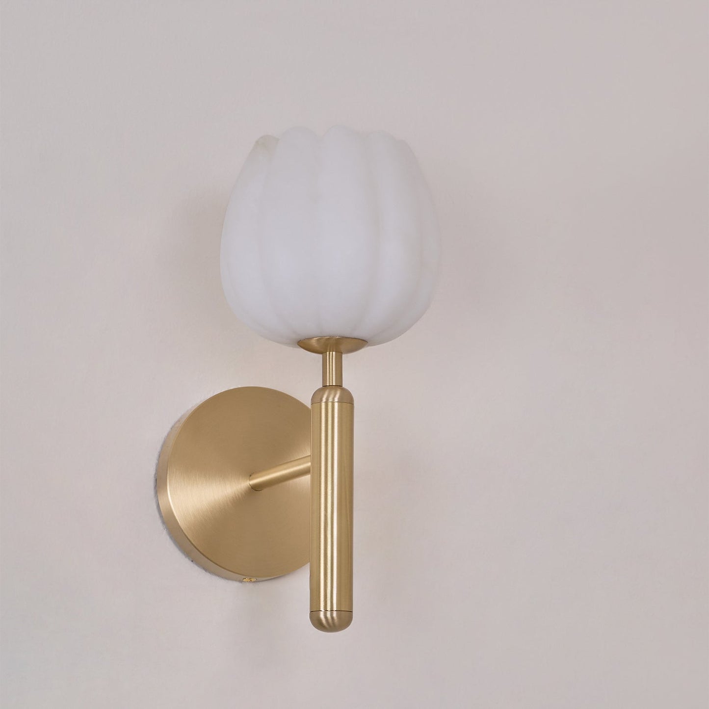 Elegant Brass & Alabaster Decorative Botanical Wall Lamp – Mian