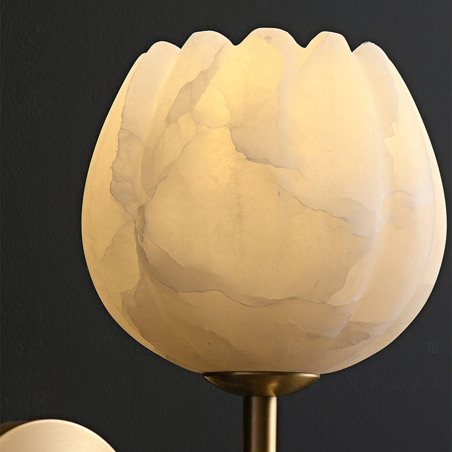 Elegant Brass & Alabaster Decorative Botanical Wall Lamp – Mian