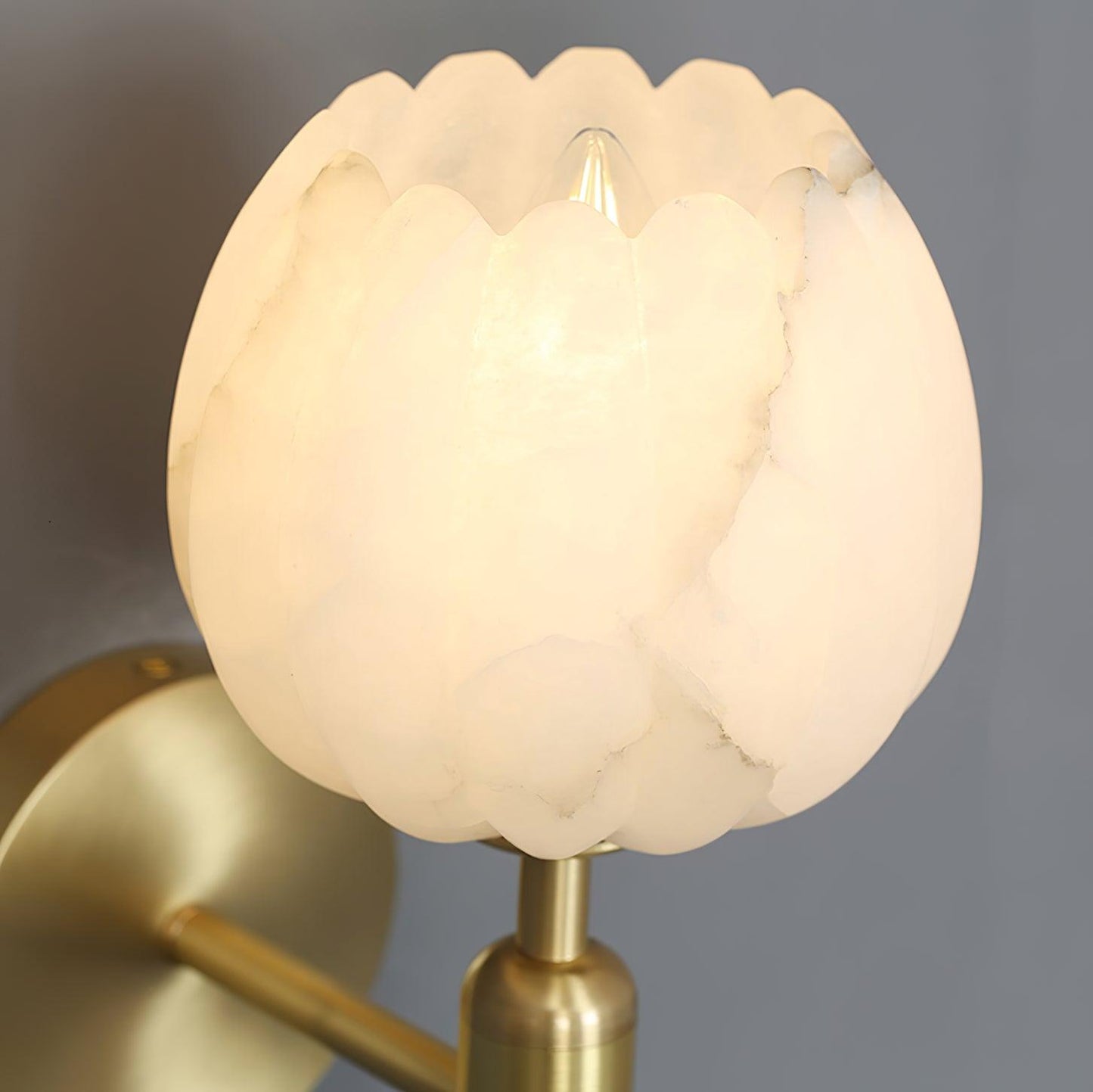 Elegant Brass & Alabaster Decorative Botanical Wall Lamp – Mian