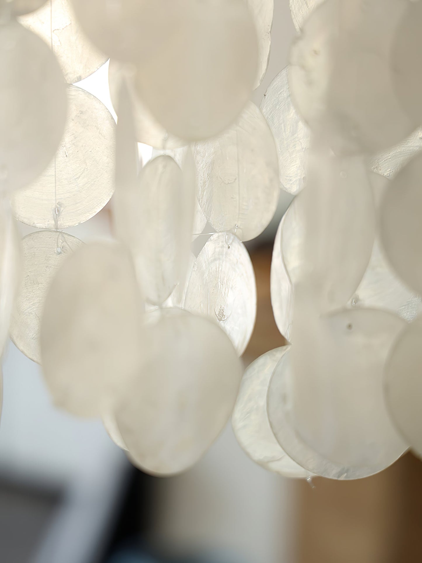 Nerida Shell Chandelier - YIOSI