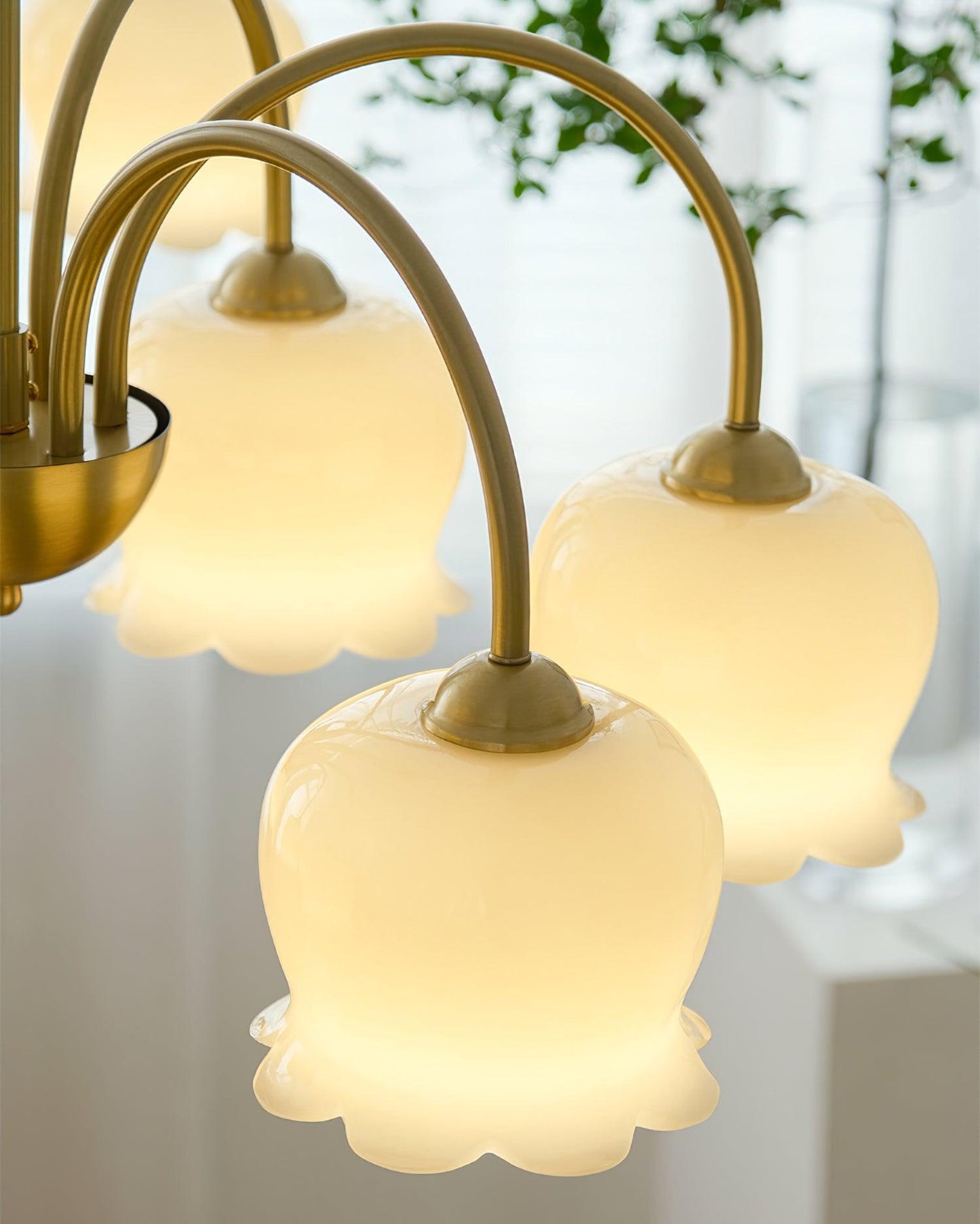 Orchids Brass Chandelier - YIOSI