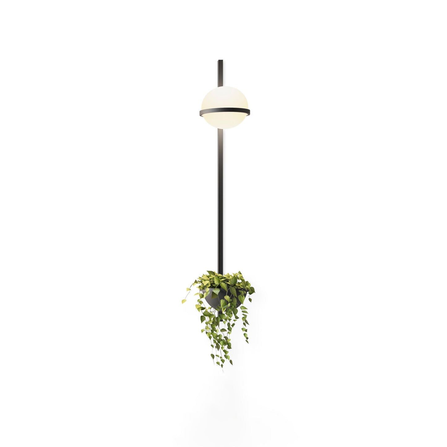 Solstice Wall Light - YIOSI