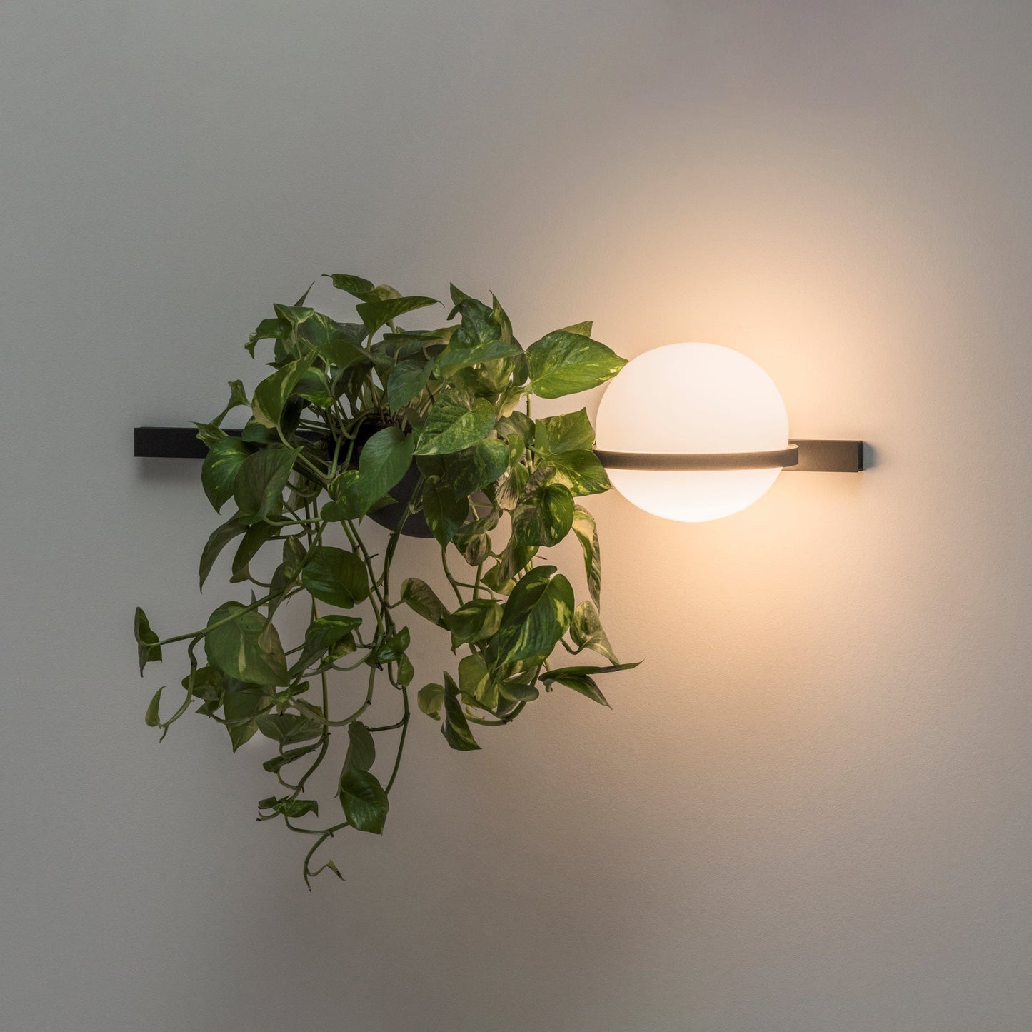 Solstice Wall Light - YIOSI