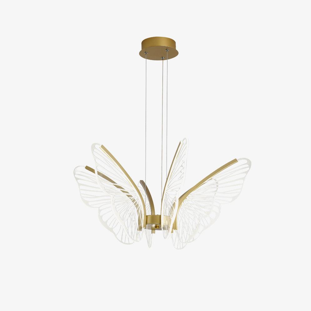 Phalaenopsis Chandelier - YIOSI