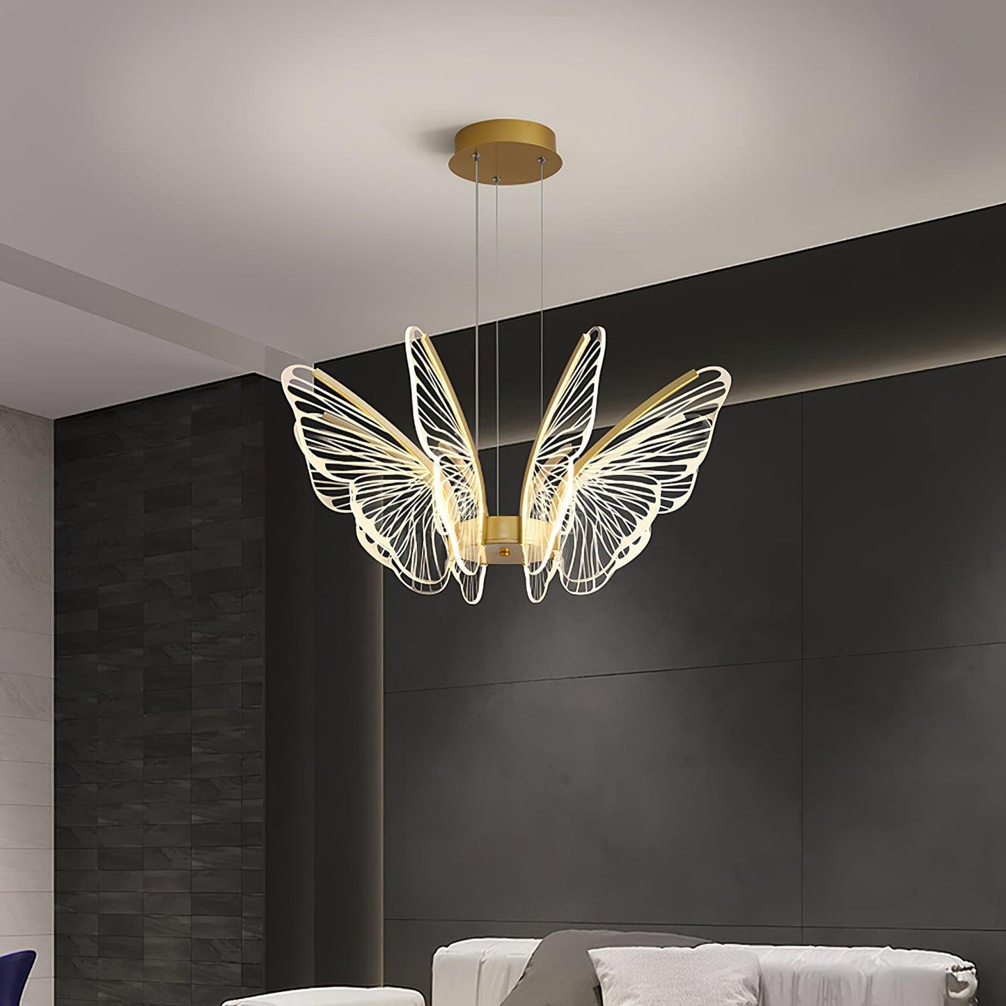 Phalaenopsis Chandelier - YIOSI