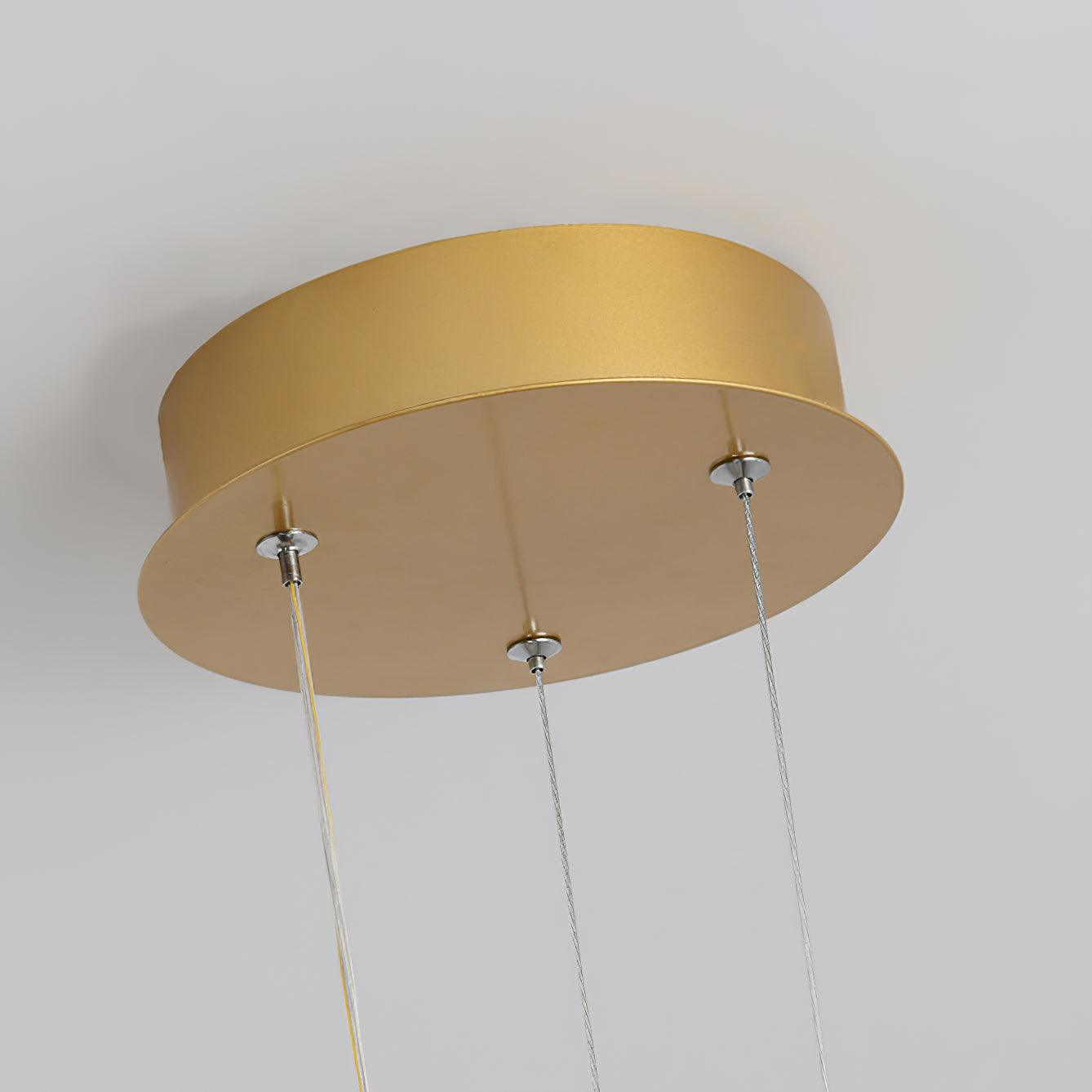 Phalaenopsis Chandelier - YIOSI