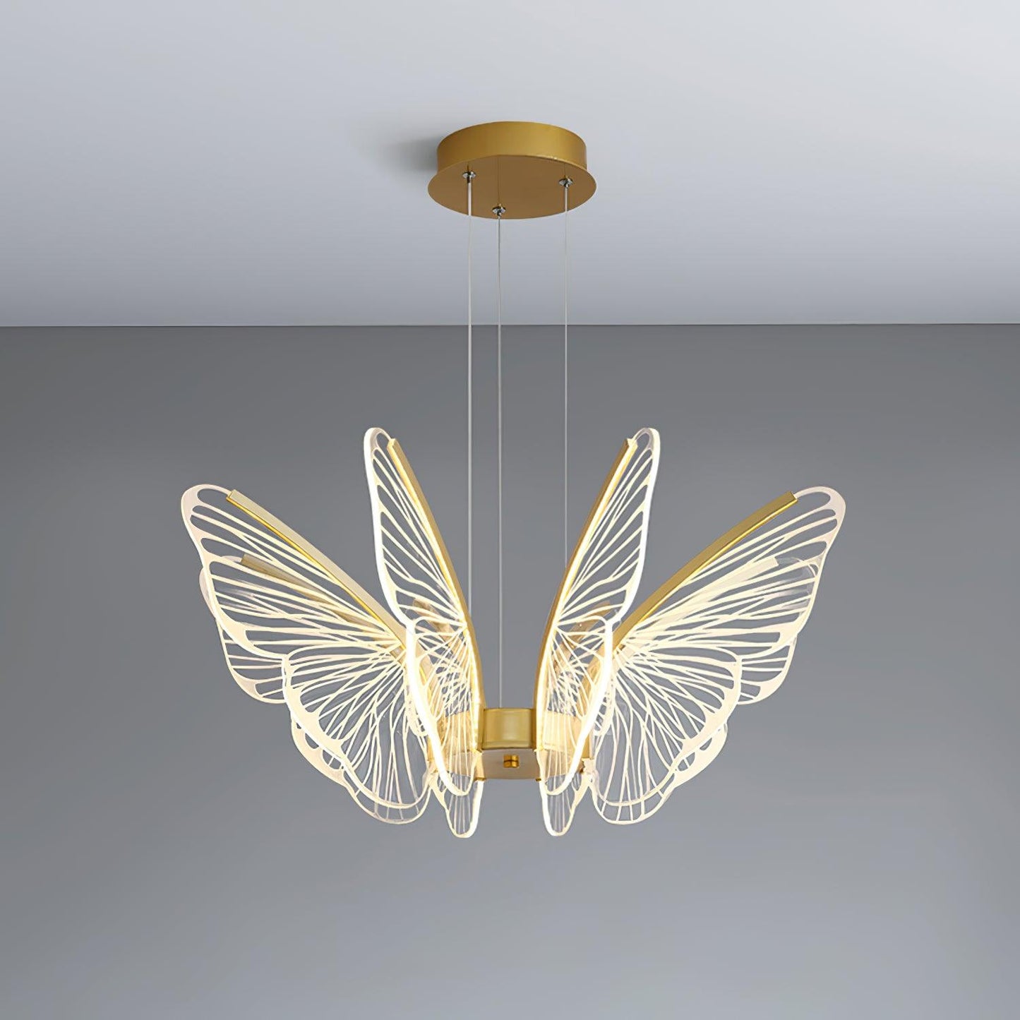 Phalaenopsis Chandelier - YIOSI