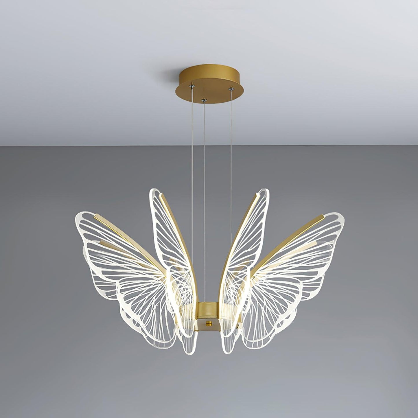 Phalaenopsis Chandelier - YIOSI