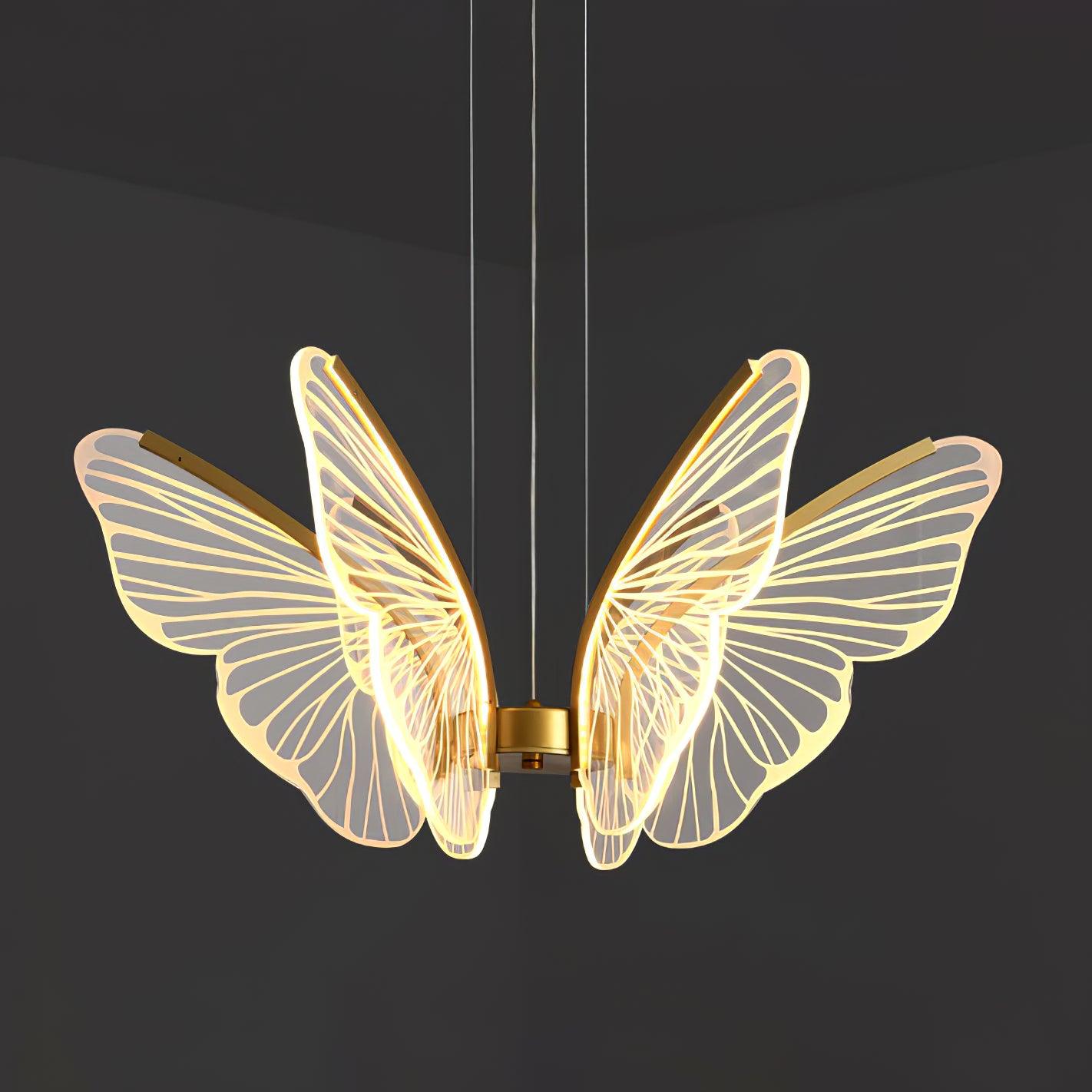 Phalaenopsis Chandelier - YIOSI