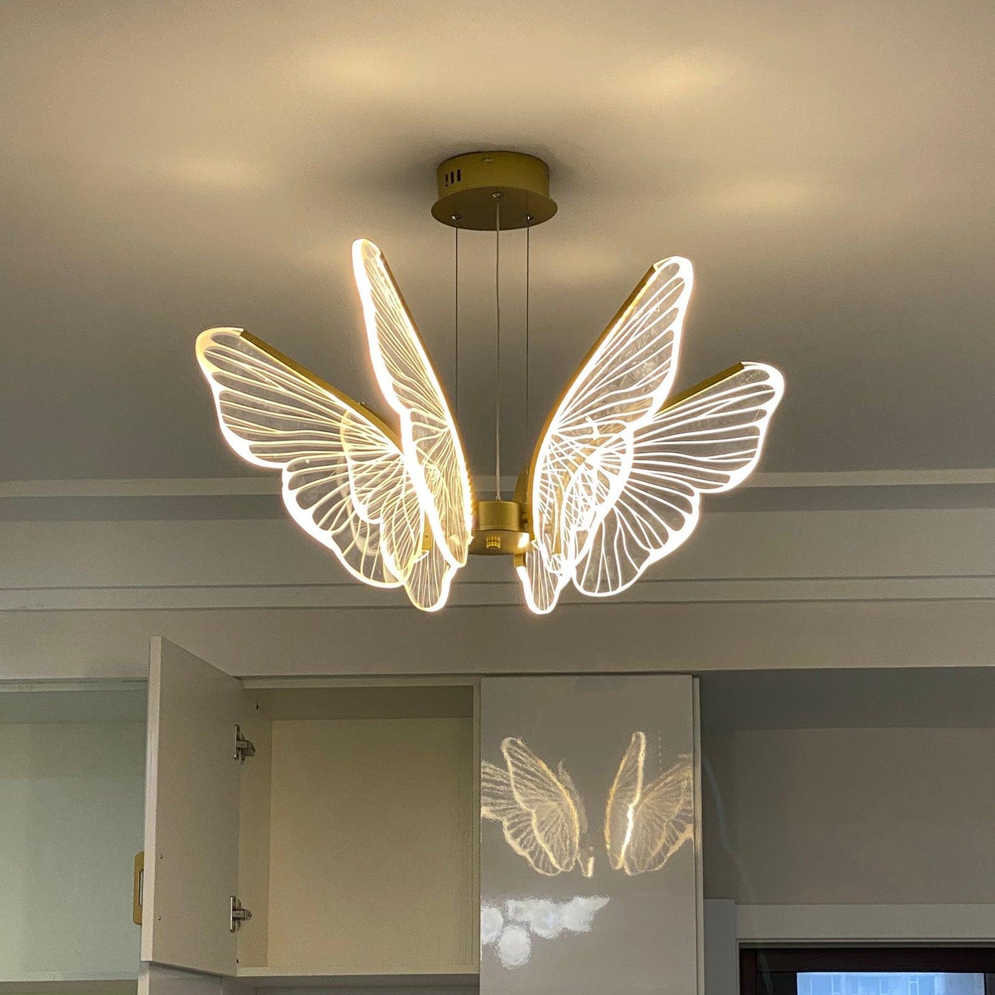 Phalaenopsis Chandelier - YIOSI