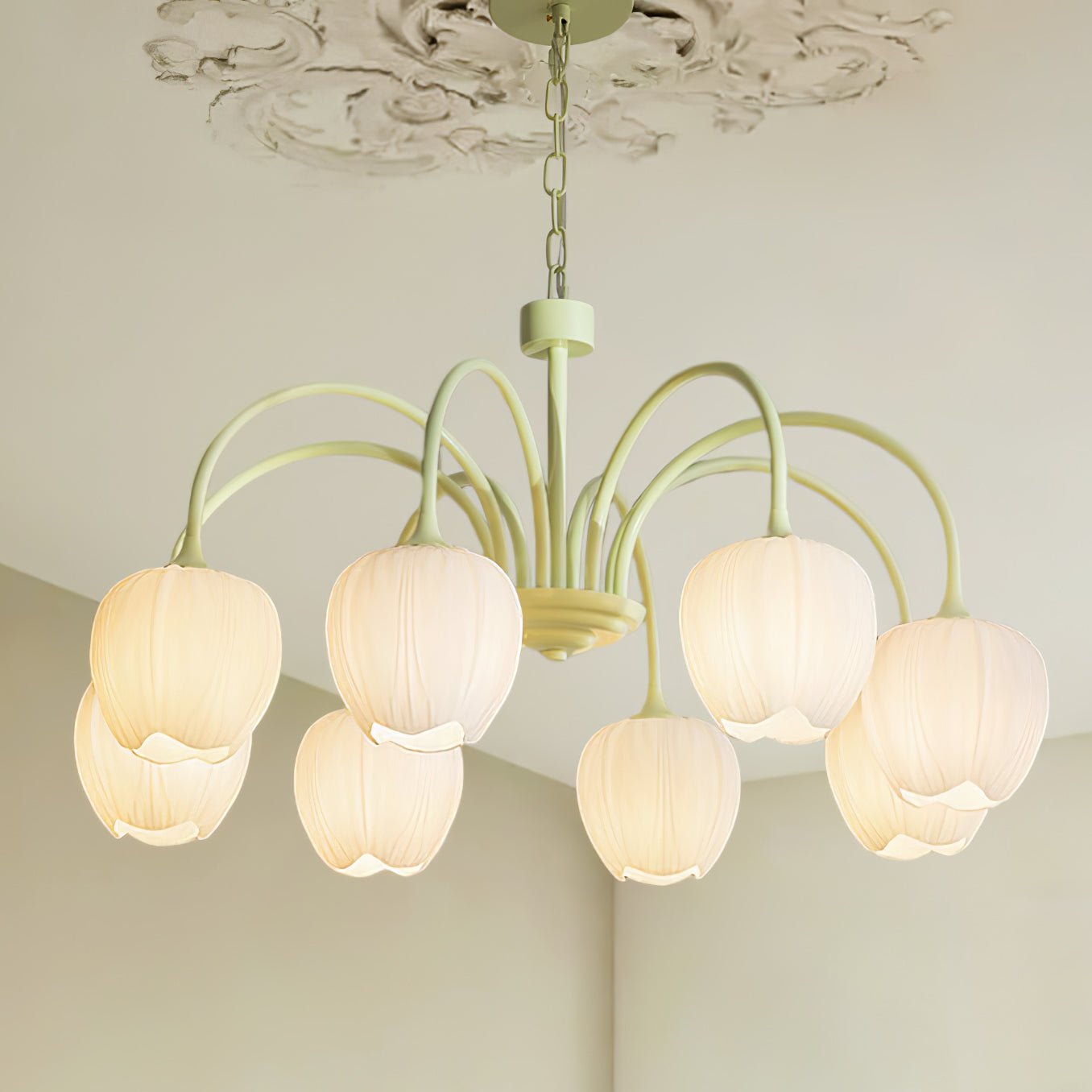 Tulip Matcha Chandelier - YIOSI