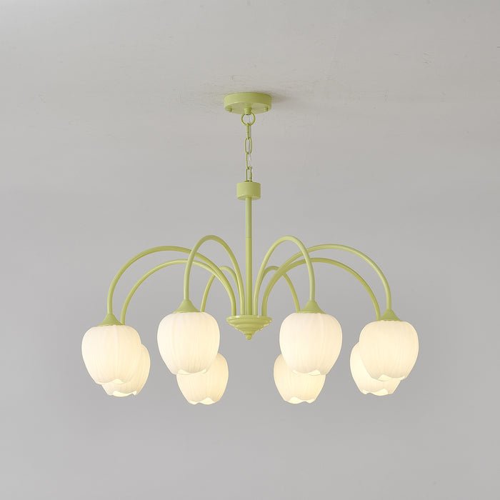 Tulip Matcha Chandelier - YIOSI