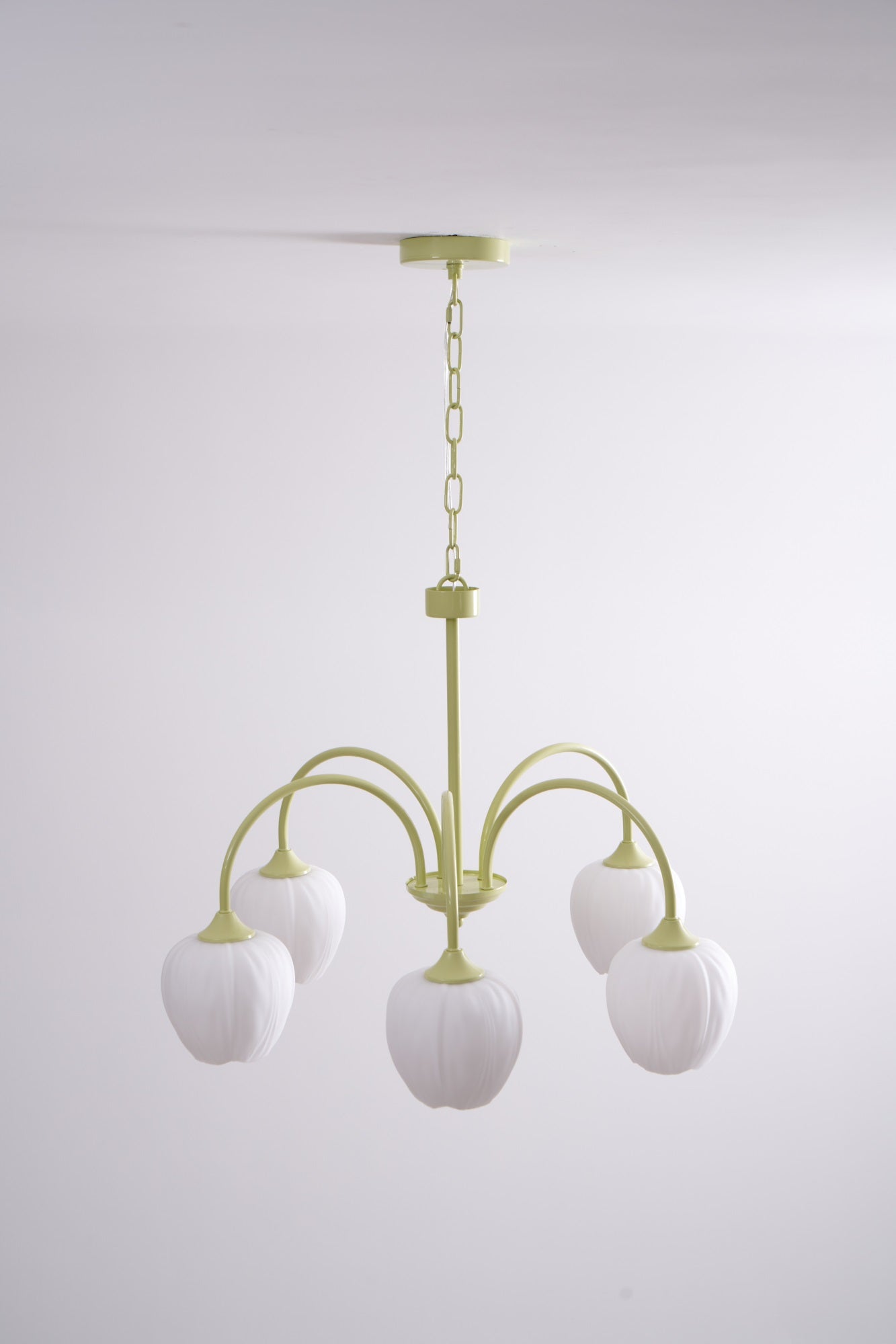 Tulip Matcha Chandelier - YIOSI