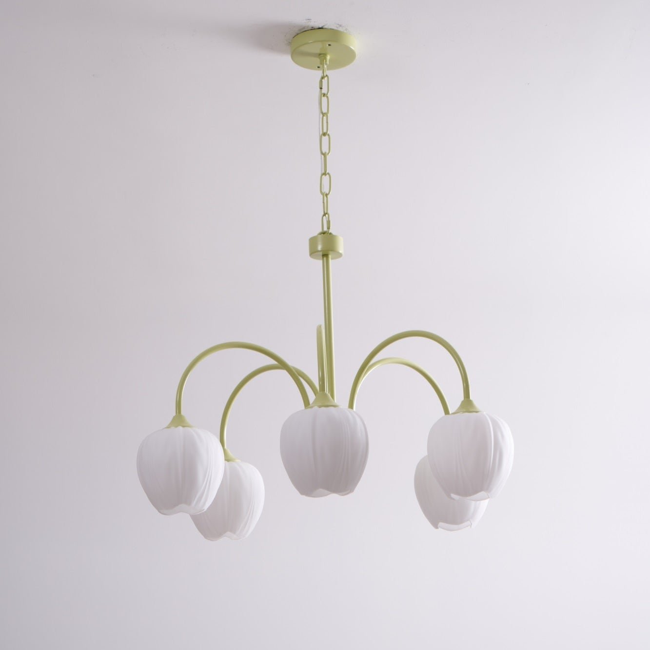 Tulip Matcha Chandelier - YIOSI