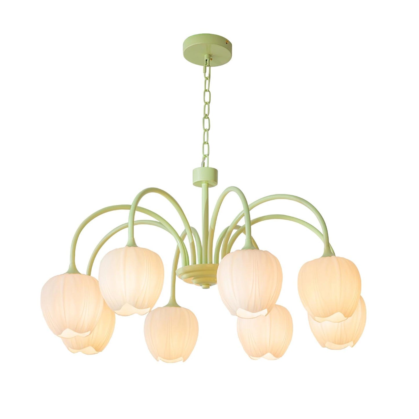 Tulip Matcha Chandelier - YIOSI