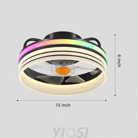 13’’ Enclosed Ceiling Fan with Remote & Stepless Dimming – Black Ceiling Lights
