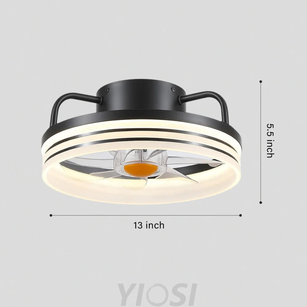 13’’ Enclosed Ceiling Fan with Remote & Stepless Dimming – Black Ceiling Lights