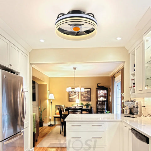 13’’ Enclosed Ceiling Fan with Remote & Stepless Dimming – Black Ceiling Lights
