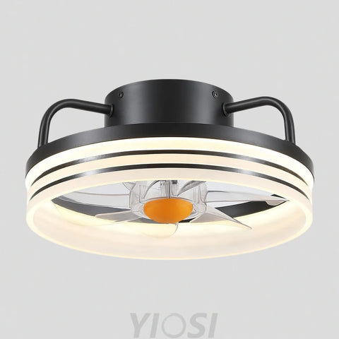 13’’ Enclosed Ceiling Fan with Remote & Stepless Dimming – Black Black Ceiling Lights