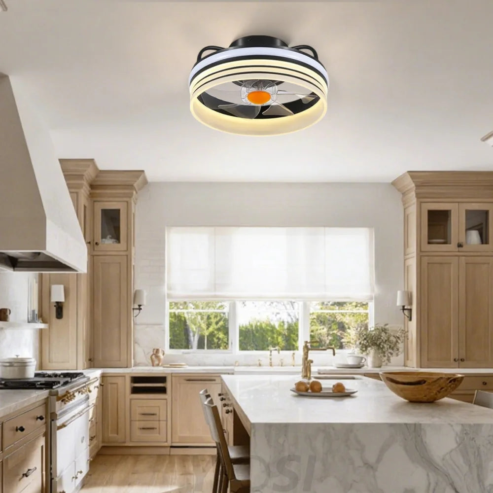 13’’ Enclosed Ceiling Fan with Remote & Stepless Dimming – Black Ceiling Lights