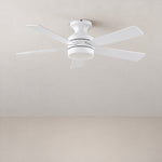 46" Dual-Finish Blade Flush Mount Ceiling Fan – lights off
