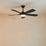 8903 scene light on
