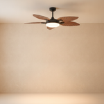 8909 scene light on