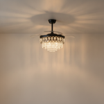 48" Retractable Blade Ceiling Fan with Crystal Chandelier - light off