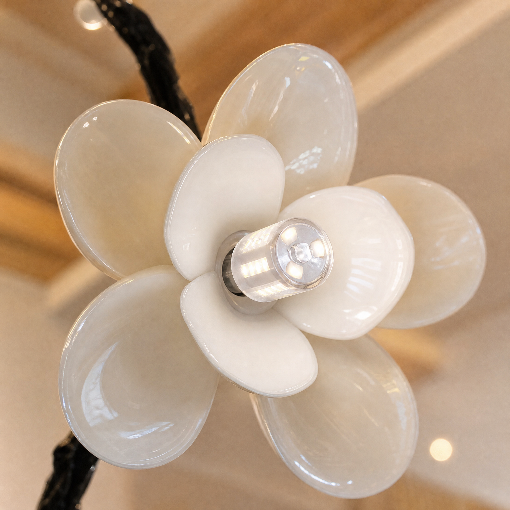 A matte black metal vine branch pendant light with frosted glass floral blossoms suspended from a ceiling mount.