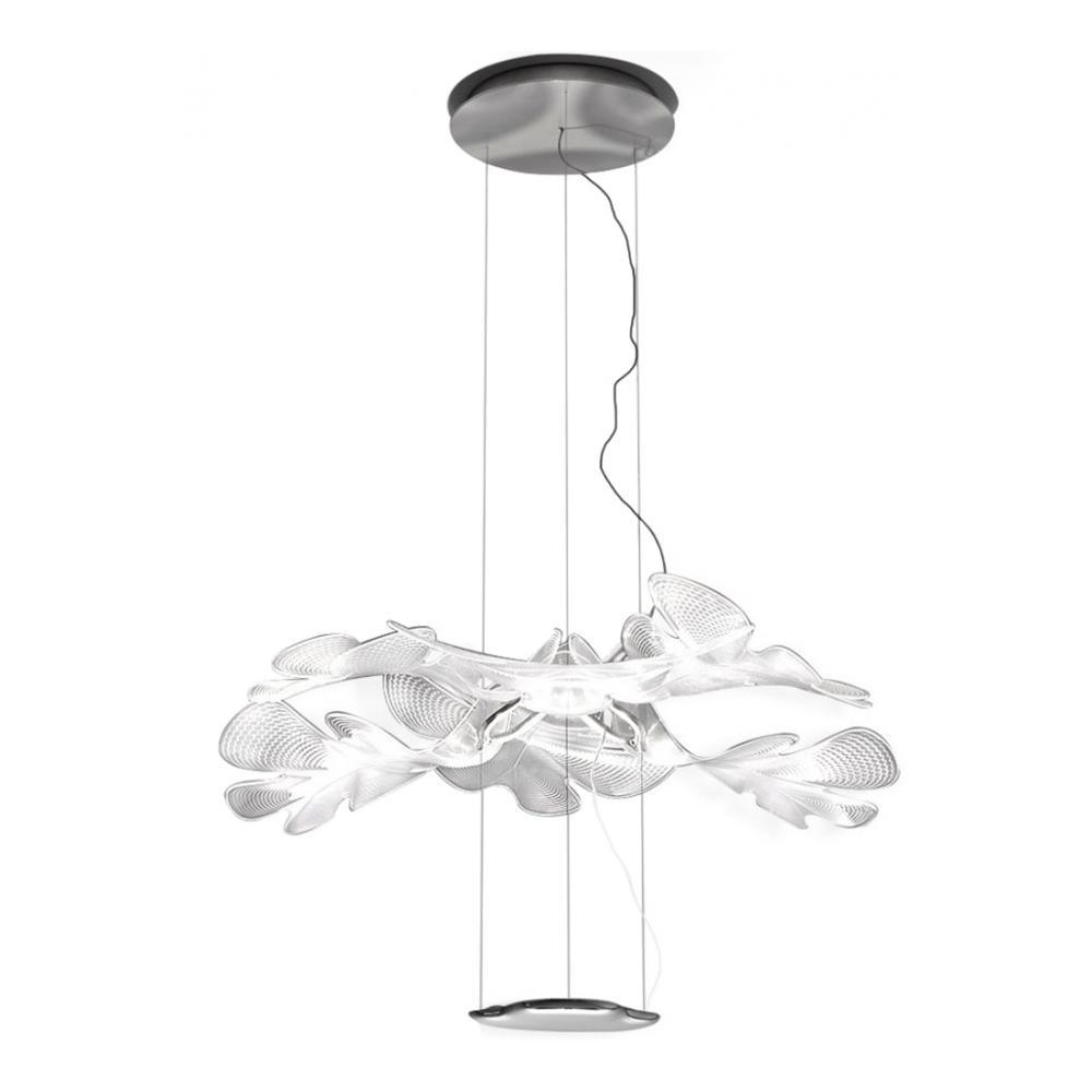 Chlorophilia Suspension Light - YIOSI