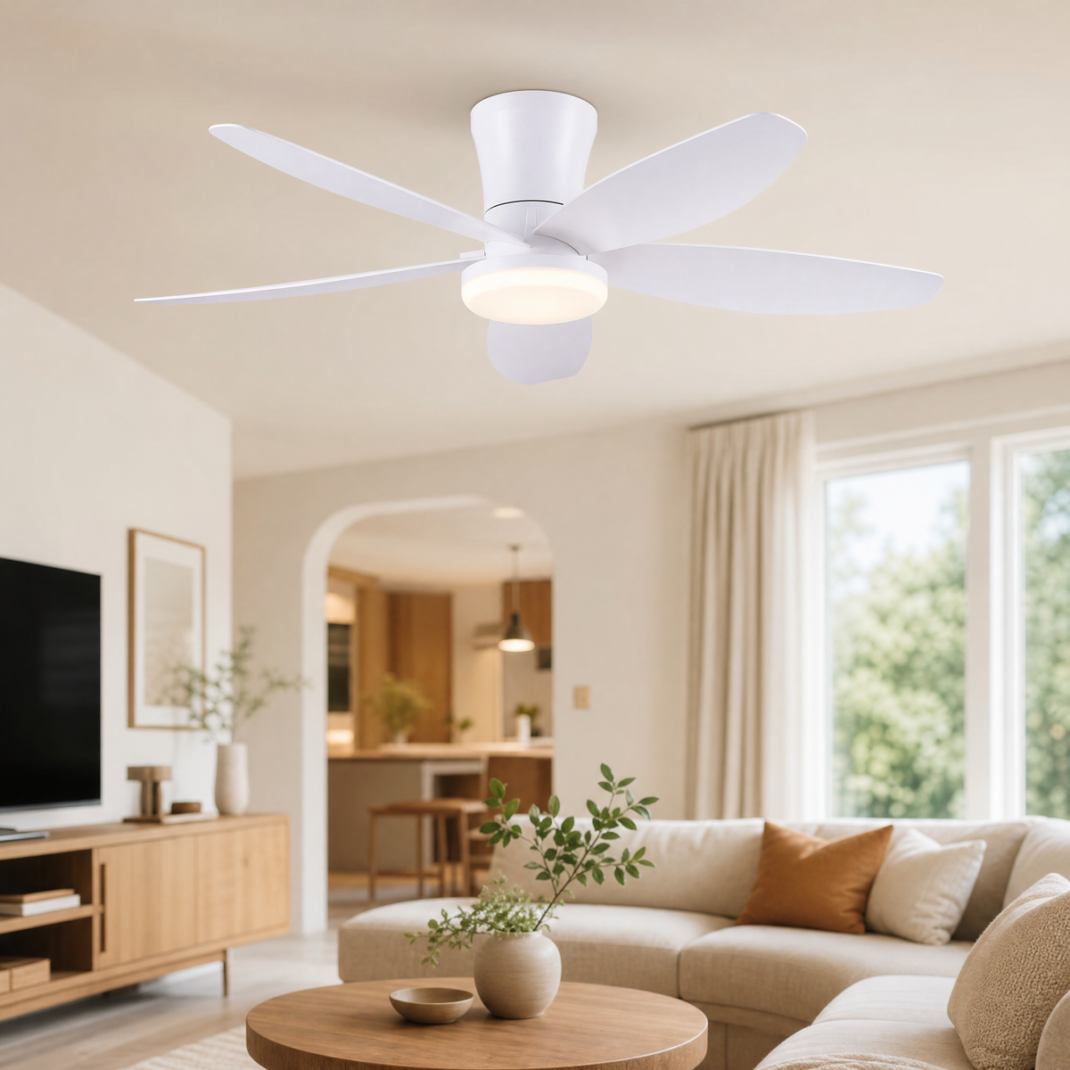 Ceiling Fan 6666