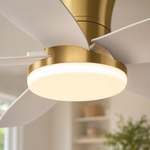 Ceiling Fan 6666