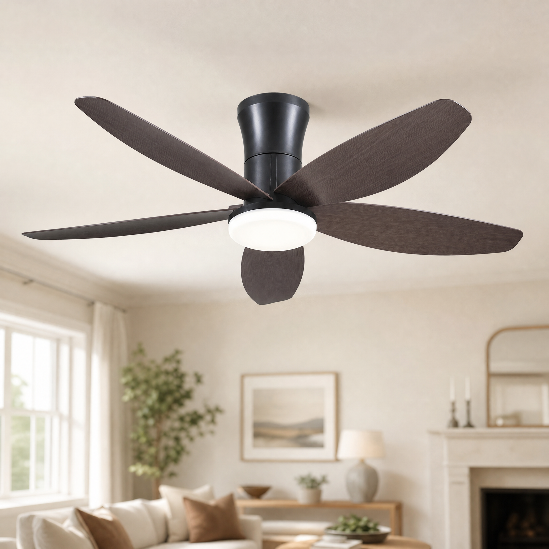 Ceiling Fan 6666