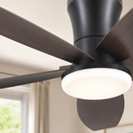Ceiling Fan 6666
