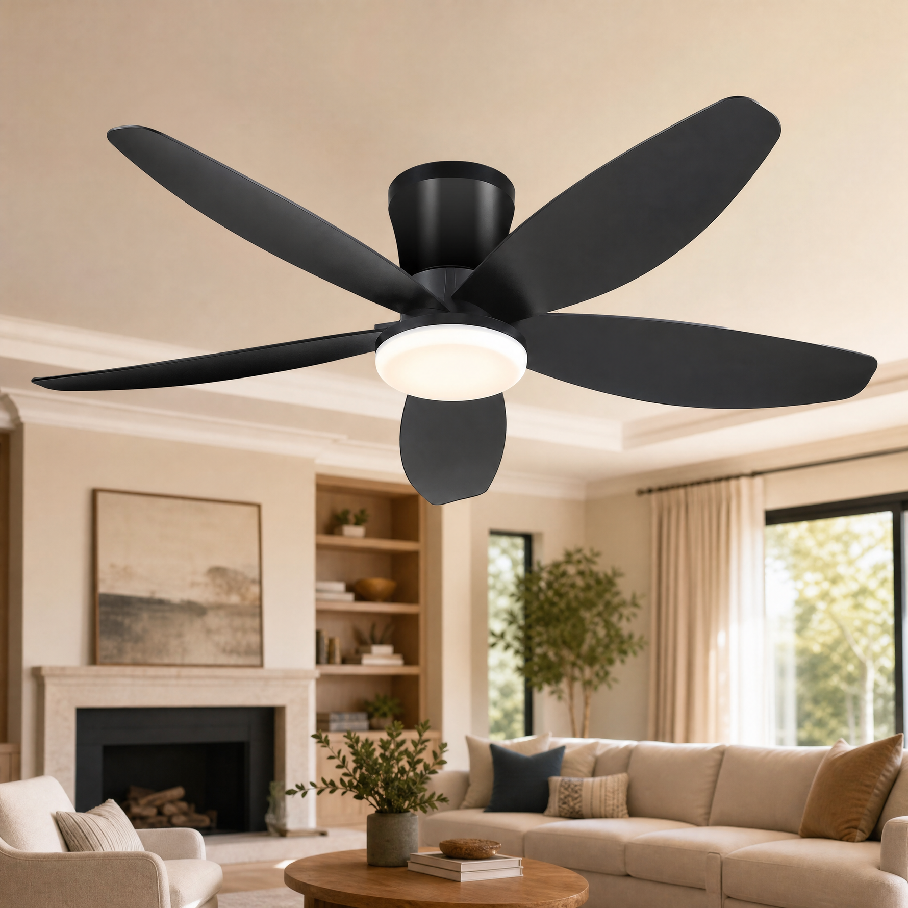 Ceiling Fan 6666