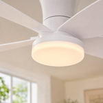 Ceiling Fan 6666
