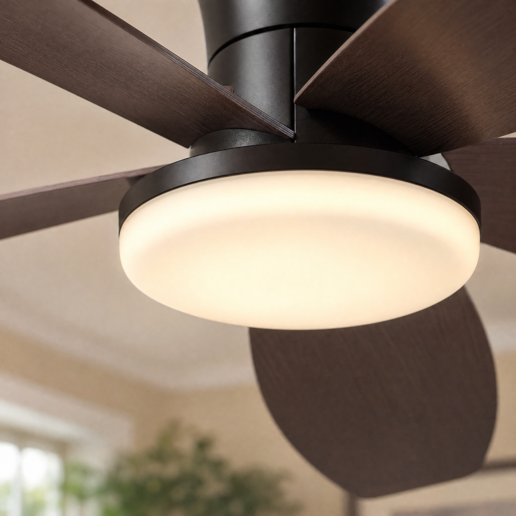 Ceiling Fan 6666